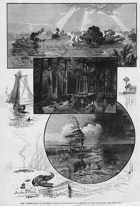 The New Orleans Times-Democrat sponsored an expedition in 1883 that traveled from Lake Okeechobee to the head of Shark River. A. P. Williams led this search for land suitable to drain and develop for agriculture. “The Everglades of Florida,” drawn by Harry Fenn from sketches by Wolf Harlander. Illustration for “Glimpses of The Everglades,” by William Hosea Ballou. Harper's Weekly (March 12, 1887), p. 180. 1984-95-2.