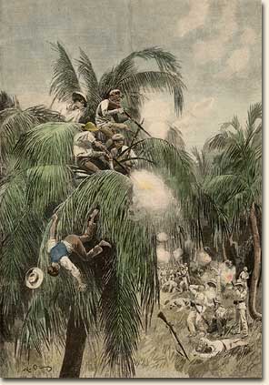 M. Oramay. L'insurrection de Cuba: un Combat dans les Palmiers. Paris: L'Illustration, 1895. Cuban civil war broke out in 1895, brought on by economic suffering and long simmering political discontent. The uprising turned into a fierce war. Cubans systematically destroyed sugar mills, sugarcane fields and other Spanish?owned property. Spain countered with by driving many Cubans into cities and towns fortified with barbed wire and under armed guard. Hostilities continued for three years, when the U.S. intervened. This page from a French newspaper shows Cuban snipers in the top of a palm, exchanging gunfire with Spanish troops on the ground. Image no. 1998-363-5