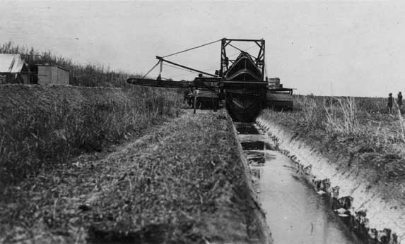 Land reclamation was more difficult than anyone had anticipated. Some canals did not drain the adjoining land, and lateral drainage ditches had to be dug as well. This view shows a Buckeye open ditcher digging a ditch running parallel to canal on the Davie agricultural farm. 1913? 1976-051-20