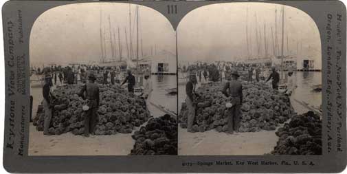 Sponge market, Key West Harbor, Fla. Meadville, PA : Keystone View Co., [1898] Image number 1985-156-1