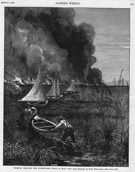The New Orleans Times-Democrat sponsored an expedition in 1883 that traveled from Lake Okeechobee to the head of Shark River. A. P. Williams led this search for land suitable to drain and develop for agriculture. “Pushing through the Everglades,” drawn by Harry Fenn from sketches by Wolf Harlander. Illustration for “Glimpses of The Everglades,” by William Hosea Ballou. Harper's Weekly (March 12, 1887), p. 181.