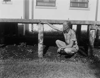 Once exposed to air, the muck dried, slowly oxidized, and shrank. In this 1951 photo Dr. Victor Green shows 25 years of subsidence at the Everglades Experiment Station. 1996-047-431-1070