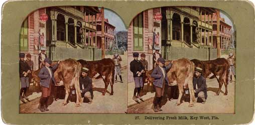 Delivering fresh milk, Key West, Fla. Circa 1900. Image number 1998-256-1