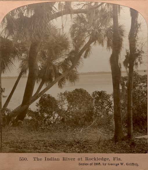 The Indian River at Rockledge, Fla. Philadelphia, PA : Geo. W. Griffith, 1903. Image number 2006-243-8