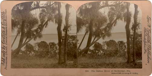 The Indian River at Rockledge, Fla. Philadelphia, PA : Geo. W. Griffith, 1903. Image number 2006-243-8