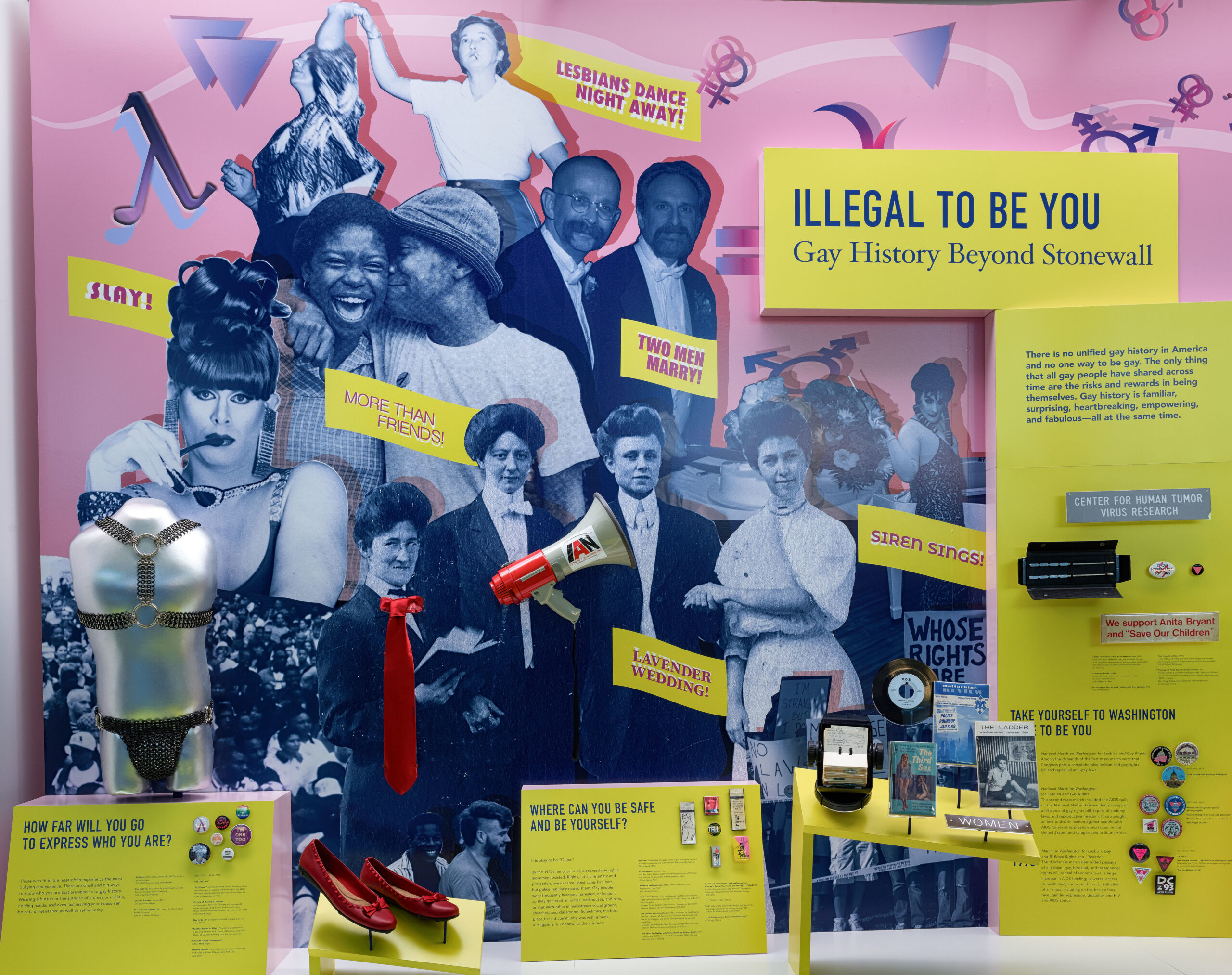 Illegal to Be You: Gay History Beyond Stonewall