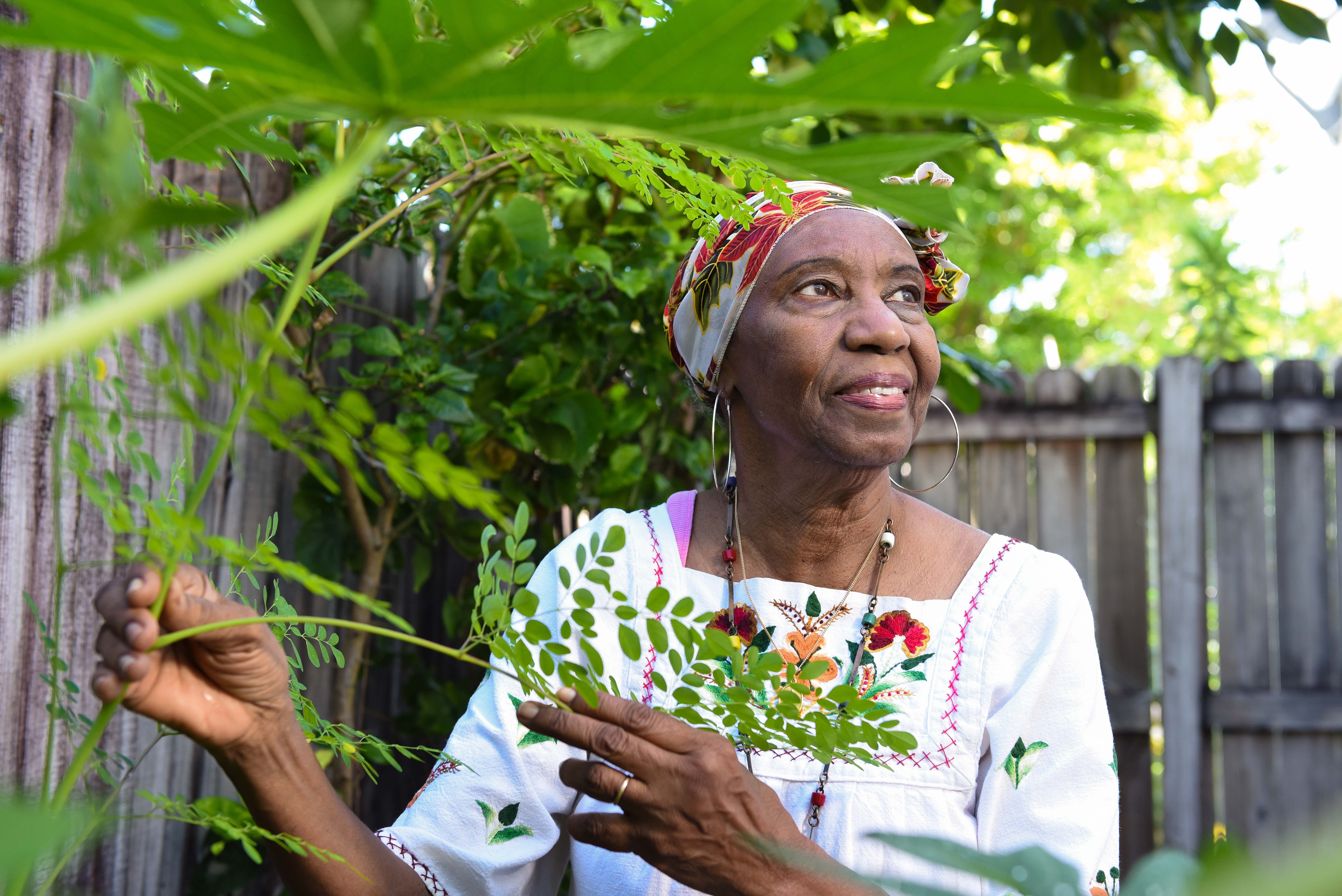 Sold-Out Traditional Medicine Workshop: Herbs and Healing in Haiti