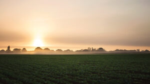 View of verdant farmland at sunset. Photo courtesy of the GMCVB – http://MiamiandMiamiBeach.com
