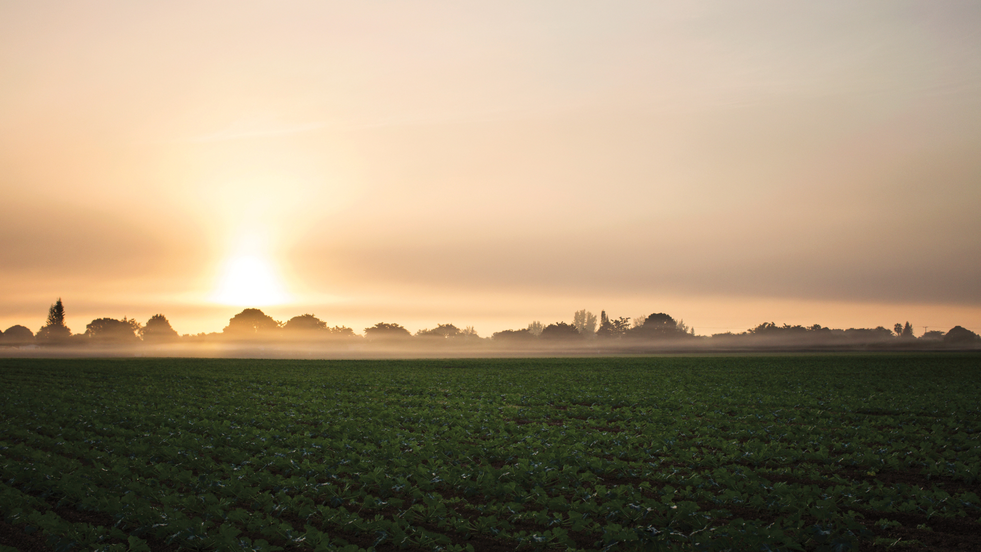 Panel Discussion—The Changing Landscape of South Dade