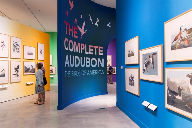 RARE DISCOVERY MADE AT HISTORYMIAMI’S AUDUBON EXHIBITION