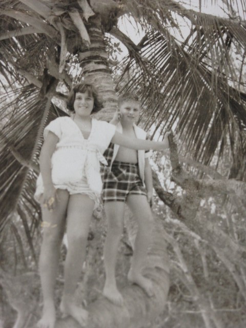 A young girl and boy stand on the curved trunk of a large palm tree